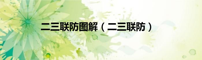 二三联防图解（二三联防）