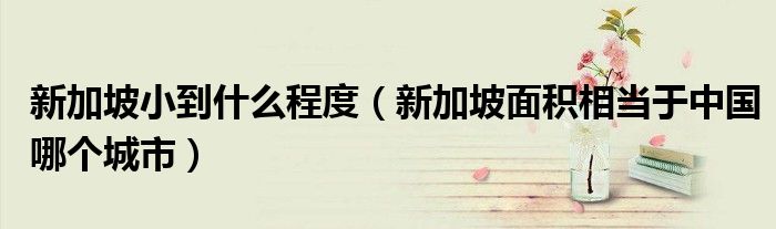新加坡小到什么程度（新加坡面积相当于中国哪个城市）