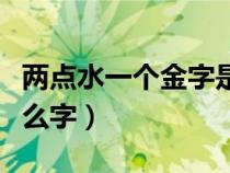 两点水一个金字是什么意思（两点水一个金什么字）