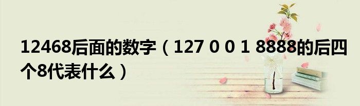 12468后面的数字（127 0 0 1 8888的后四个8代表什么）