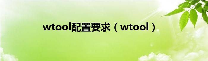 wtool配置要求（wtool）