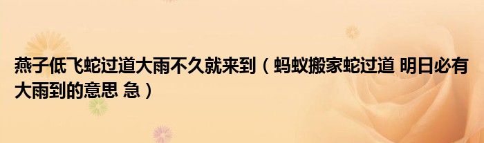 燕子低飞蛇过道大雨不久就并吞（蚂蚁搬家蛇过道 明日必有大雨到的意思 急）