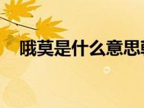 哦莫是什么意思韩语（omo是什么意思）