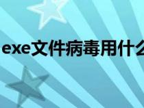 exe文件病毒用什么软件（exe病毒解决方法）