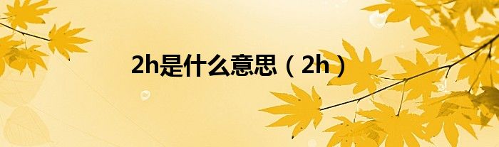 2h是什么意思（2h）