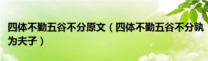 四体不勤五谷不分原文（四体不勤五谷不分孰为役夫）