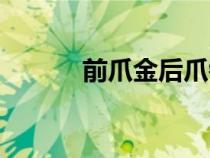 前爪金后爪银什么意思（前爪）