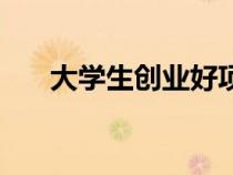 大学生创业好项目（大学生创业想法）