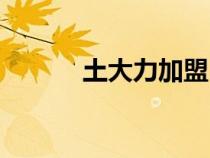 土大力加盟（土大力什么好吃）