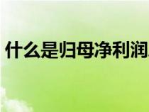 什么是归母净利润总额（什么是归母净利润）