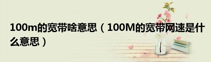 100m的宽带啥意思（100M的宽带网速是甚么意思）