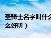 圣骑士名字叫什么好听一点（圣骑士名字叫什么好听）