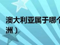 澳大利亚属于哪个洲球队（澳大利亚属于哪个洲）