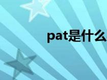 pat是什么材料（pat是什么）