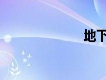 地下屠杀线黑屏