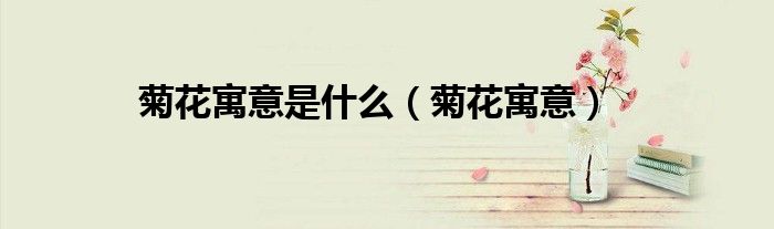 菊花寓意是什么（菊花寓意）