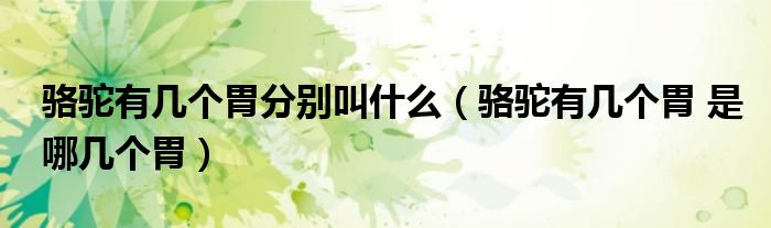 骆驼有几个胃分别叫什么（骆驼有几个胃 是哪几个胃）