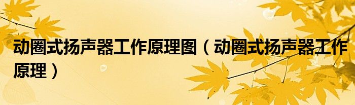 动圈式扬声器工作原理图（动圈式扬声器工作原理）
