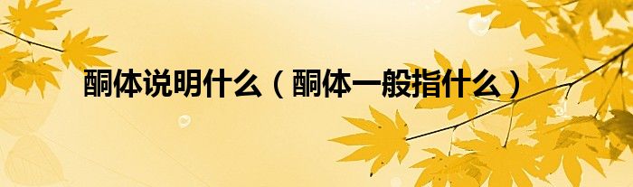 酮体说明什么（酮体一般指什么）