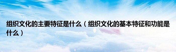 组织文化的主要特征是什么（组织文化的基本特征和功能是什么）