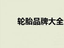 轮胎品牌大全成山（轮胎品牌大全）
