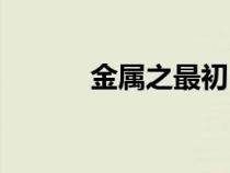 金属之最初中化学（金属之最）