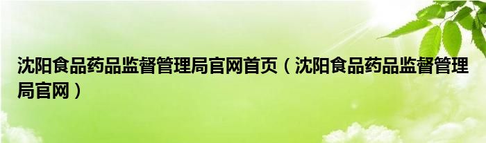 沈阳食品药品监督管理局官网首页（沈阳食品药品监督管理局官网）