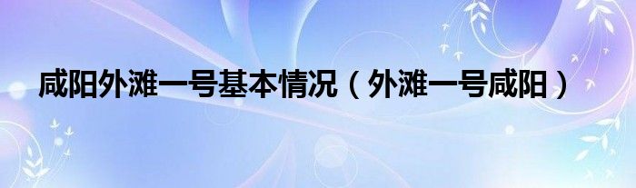 咸阳外滩一号基本情况（外滩一号咸阳）