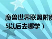 魔兽世界联盟附魔225在哪里学(联盟附魔225以后去哪学) 魔兽世界联盟附魔225在哪里学(联盟附魔225以后去哪学)