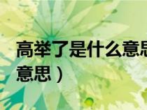 高举了是什么意思（古代人说的(高举)是什么意思）
