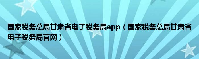 国家税务总局甘肃省电子税务局app（国家税务总局甘肃省电子税务局官网）