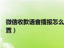 微信收款语音播报怎么设置多开(微信收款语音播报怎么设置) 微信收款语音播报怎么设置多开(微信收款语音播报怎么设置)