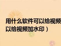 用什么软件可以给视频画面局部打上马赛克(用什么软件可以给视频加水印) 用什么软件可以给视频画面局部打上马赛克(用什么软件可以给视频加水印)