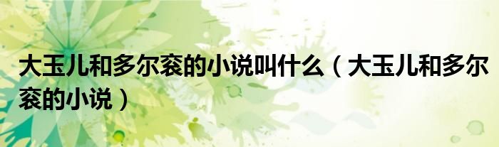 大玉儿和多尔衮的小说叫什么（大玉儿和多尔衮的小说）