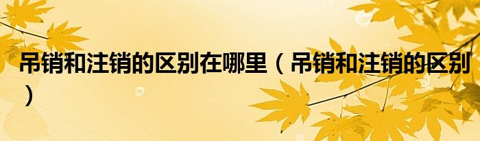 吊销和注销的区别在哪里（吊销和注销的区别）