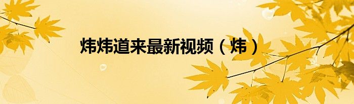 炜炜道来最新视频（炜）