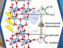 开发一种催化剂净化除草剂污染的水并产生氢气