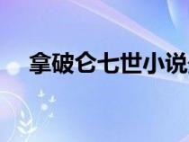 拿破仑七世小说最新章节（拿破仑七世）
