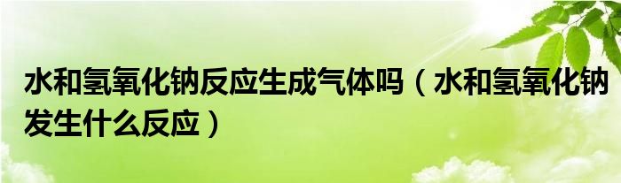 水以及氢氧化钠反映天负气体吗（水以及氢氧化钠爆发甚么反映）