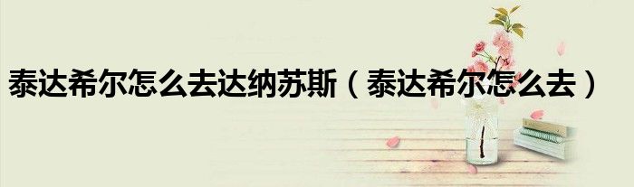 泰达希尔怎么去达纳苏斯（泰达希尔怎么去）