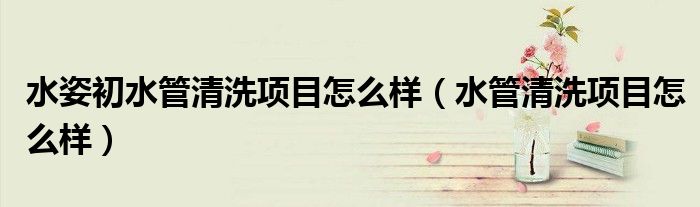 水姿初水管清洗项目怎么样（水管清洗项目怎么样）