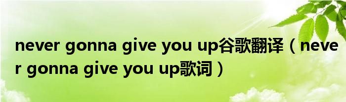 never gonna give you up谷歌翻译（never gonna give you up歌词）