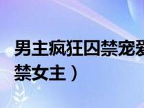 男主疯狂囚禁宠爱女主（男主疯狂变态强迫囚禁女主）
