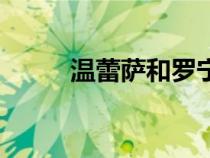 温蕾萨和罗宁的双胞胎（温蕾萨）