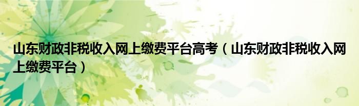 山东财政非税收入网上缴费平台高考（山东财政非税收入网上缴费平台）