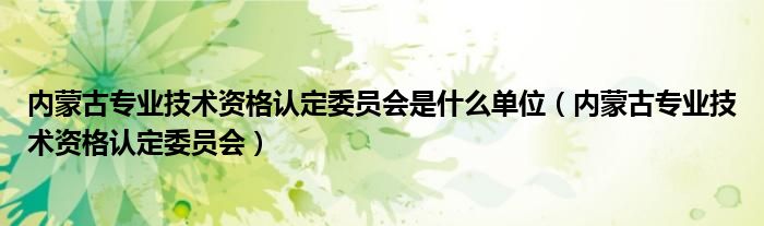内蒙古专业技术资格认定委员会是什么单位（内蒙古专业技术资格认定委员会）