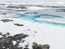 无人机探测苔藓床和南极洲气候变化