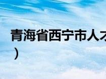 青海省西宁市人才市场（青海人才市场网官网）