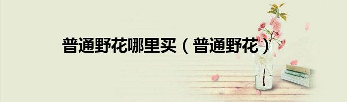 普通野花哪里买（普通野花）