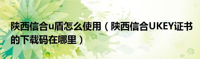 陕西信合u盾怎么使用（陕西信合UKEY证书的下载码在哪里）